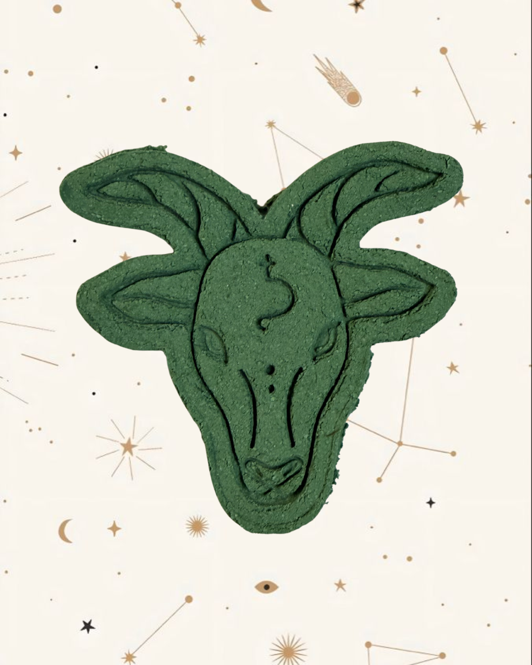 Capricorn Zodiac