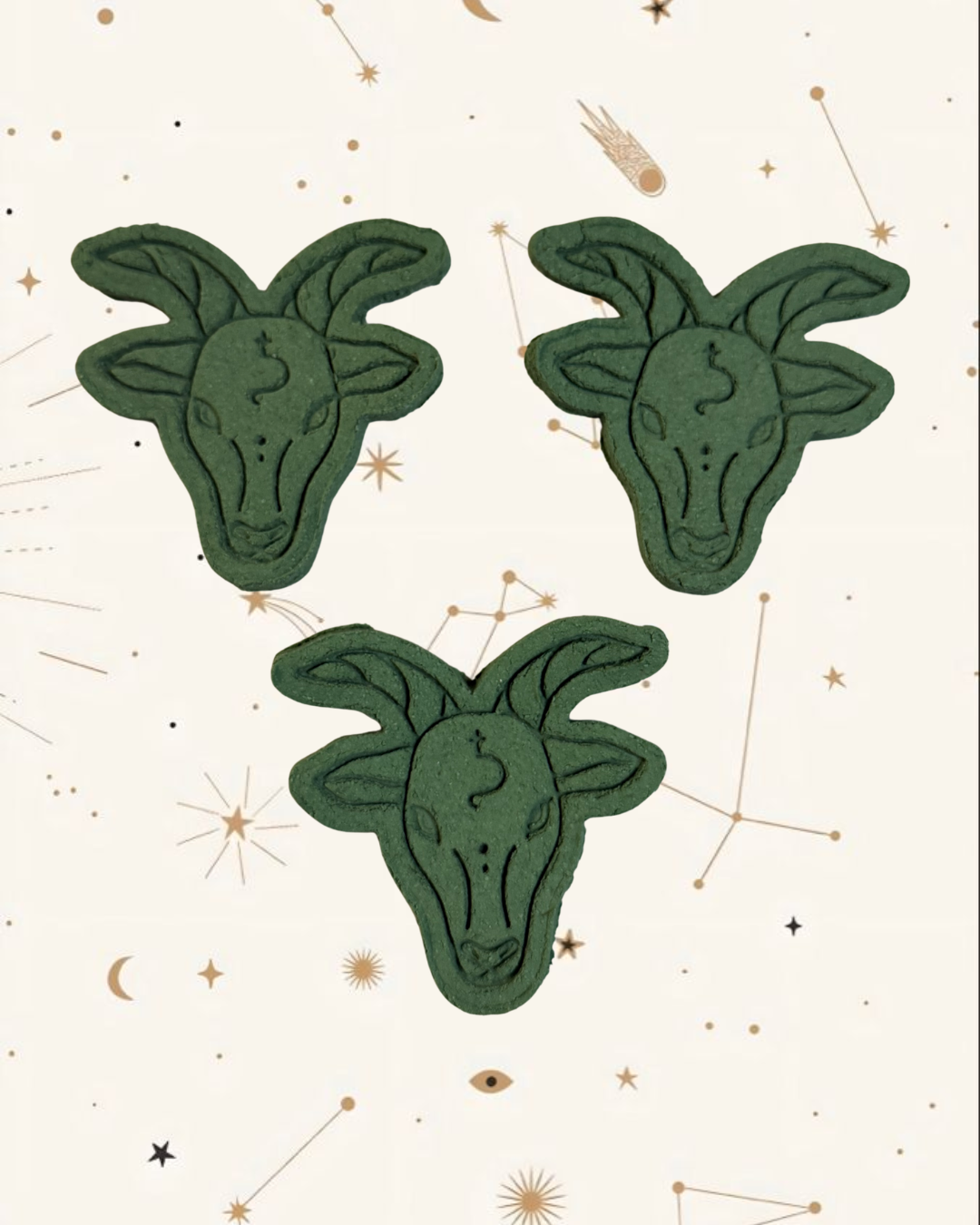 Capricorn Zodiac